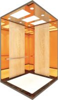 Luxury Elevator design  elevator  GLP-410