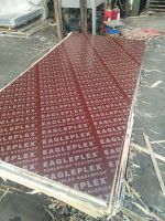 marine plywood 