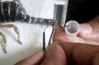 Scorpion Venom