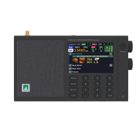Touchable DRM Radio Pocket  Newglee NGA