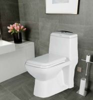 Suncera Premium One Piece Toilet Seat