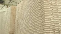 Reliable Bulk Supplier And Exporter Of