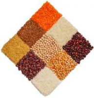 Bulk Exporter Of High-Quality Grains