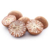 Dried Areca Nut / Betel Nut