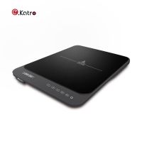 IS20-T12 Ultra-Thin Portable Induction