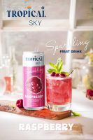 Sparkling Fruit Juice Drinks OEM/ODM