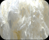 Polyamide Fiber , Tanlon, Environmen Talprotection, Fiber