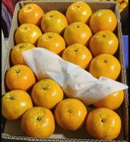 Mandarin(Kinnow