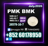 CAS 28578-16-7 New PMK