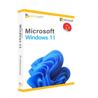 Microsoft Windows 11 Professional  Online 1PC