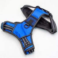 Enhanced LED Illuminated Pet Vest Harness