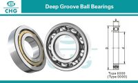 Thin Section Bearings