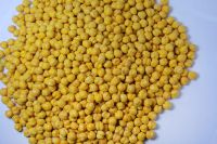 Roasted Chickpeas