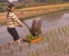Hand-operated Rice Transplanter