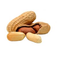 Coated Roasted Peanuts Delicious Raw  Snacks