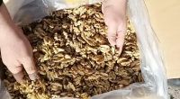 Wholesale High Quality South Africa Sweet