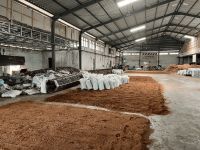 Cocopeat High EC - Premium Growing Medium