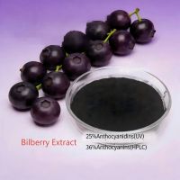 Bilberry Extract