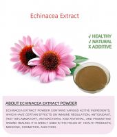Echinancea Extract