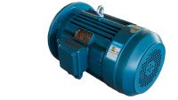Three-phase Asynchronous Motors