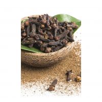 Clove Spice bulk supply available for wholesale buyers export ready fast delivery