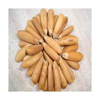 Organic pine nuts available for wholesale sale perfect for retailers and health food suppliers