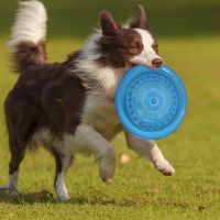Wholesale Rubber Chew Toys - Bulk Order