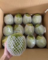 Fresh Young Coconuts In Diamond Shape