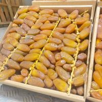 Dates