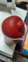 Tomato Paste