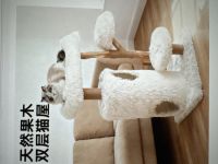 &ccedil;Œ&laquo;&ccedil;ˆ&not;&aelig;ž&para