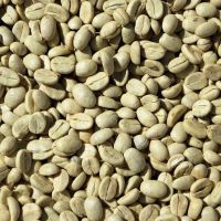 High Quality Arabica Green Coffee
