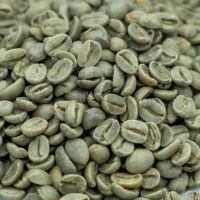 Arabica Green Coffee At Cheap Price