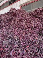 dried paprika powder 60asta