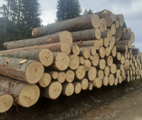 SPRUCE LOGS