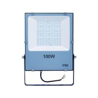 Flood Light
