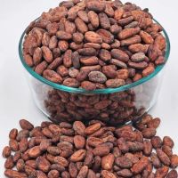 Factory Supply Ivorian Cocoa Beans Madagascar
