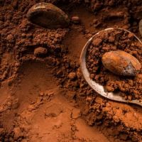 Natural Cocoa Powder/Alkalized Cocoa Powder