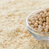 Food Grade Soy Protein Isolate For