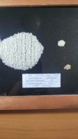 Japonica 100% Broken Rice