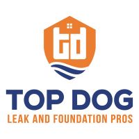 Roof Leaks Repair