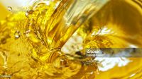 Sun Flower Oil
