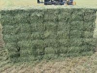 Alfalfa Hay