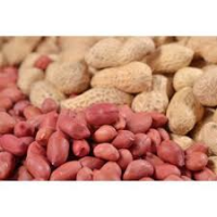 Whole Sale 100% Organic Peanut Dried Kernel Peanuts Groundnut Raw Fresh Red Skin on Discount