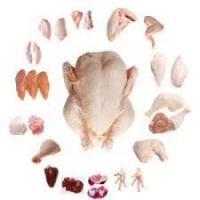 Frozen Chicken Parts / Gizzards / Thighs / Feet / Paws / Drumsticks/ Wings