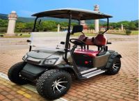 Electric Golf Cart Big Power 3