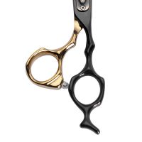 Hair Scissors