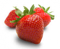 Fresh Strawberries Wholesale Supplier Export Quality