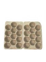 Fruit Tray