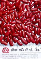 Dark Red Kidney Beans